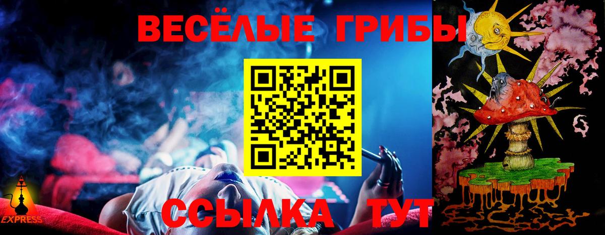 Псилоцибиновые грибы Psilocybe  Вход с VPN  Каспийск  Псилоцибиновые грибы Psilocybe 